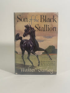 Son of the Black Stallion. Walter Farley.